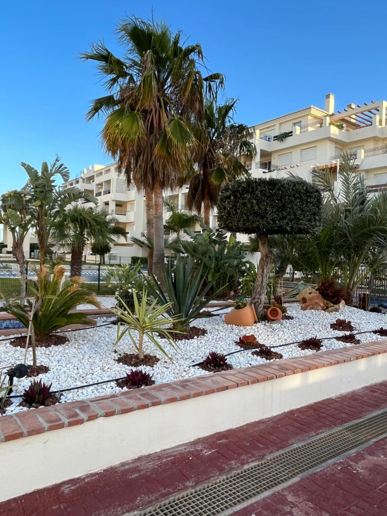 Mi Chiquita Appartement